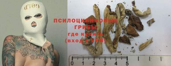 СК Арсеньев