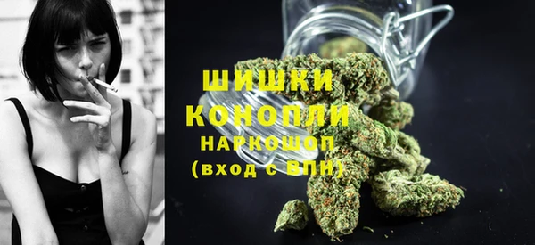 гашик Аркадак