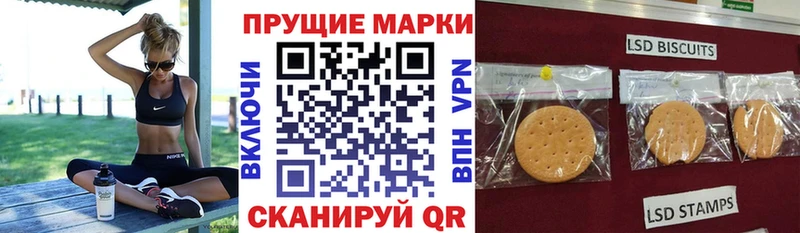 блэк спрут ONION  наркошоп  Чебоксары  Марки 25I-NBOMe 1,8мг 